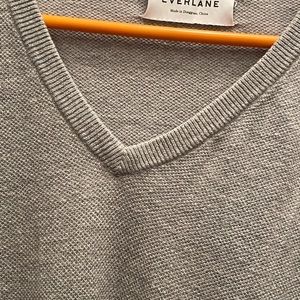 Everlane Cotton Cashmere with a deep V, great for just a t-shirt or dressed up